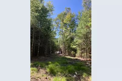 0 Spring Brook Drive, Lincolnville, ME 04849 - Photo 14