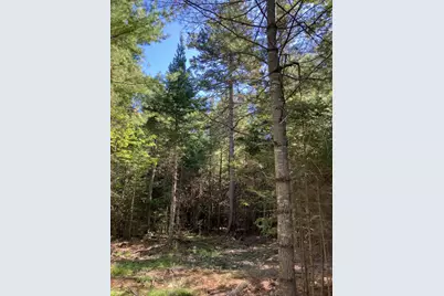 0 Spring Brook Drive, Lincolnville, ME 04849 - Photo 12