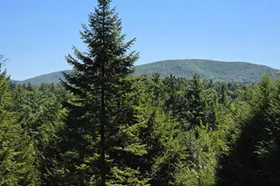 85 Linscott Rd, Brownfield, ME 04010 - Photo 10