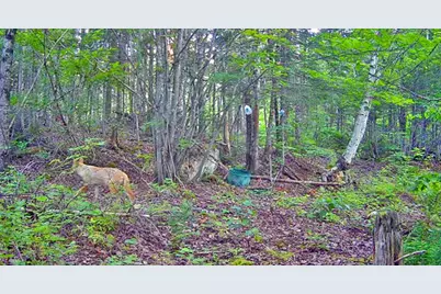 390 Foster Road, Littleton, ME 04730 - Photo 18