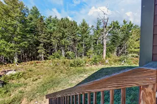 565 Toddy Pond Rd, Surry, ME 04684 - Photo 48