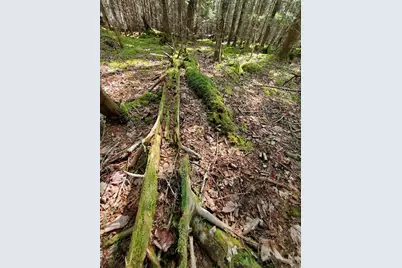 45/46D Duck Cove Road, Roque Bluffs, ME 04654 - Photo 18