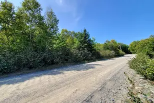 45/46D Duck Cove Rd, Roque Bluffs, ME 04654 - Photo 1