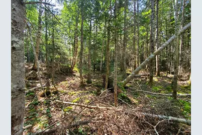 45/46D Duck Cove Road, Roque Bluffs, ME 04654 - Photo 8