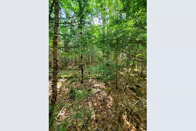 45/46D Duck Cove Road, Roque Bluffs, ME 04654 - Photo 12