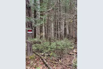 3 Brimstone Road Road, Lagrange, ME 04453 - Photo 2