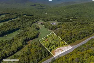 Lot 2 Monkey Brook Rd, Newry, ME 04261 - Photo 1