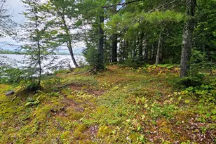 99 Birch Point, Orneville Twp, ME 04463 - Photo 40