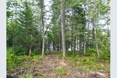Lot 1 Off North Shore Road, Lake View Plantation, ME 04463 - Photo 8