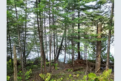Lot 1 Off North Shore Road, Lake View Plantation, ME 04463 - Photo 10