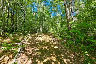 366 Plaisted Rd, Jay, ME 04239 - Photo 30