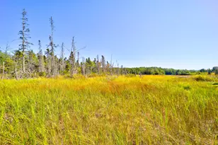 648 N Sedgwick Rd, Sedgwick, ME 04676 - Photo 42