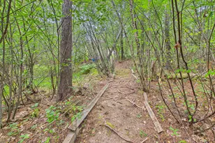 22 Nottingham Rd, Randolph, ME 04346 - Photo 44