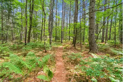 496 Davis Road, Durham, ME 04222 - Photo 96
