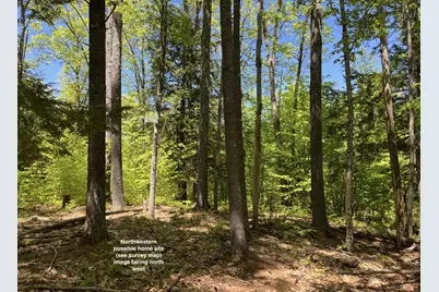 Lot 01 North High Street, Bridgton, ME 04009 - Photo 6