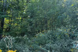598 Quaker Hill Rd, Albion, ME 04910 - Photo 8