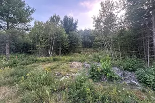 7 Oxen Pull Rd, Fryeburg, ME 04037 - Photo 1