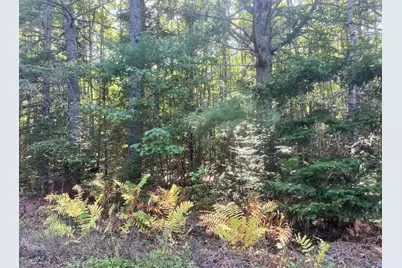 009 Morgan Bay Road, Surry, ME 04684 - Photo 4