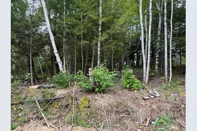 Map14Lot19 Macallister Cove Road, Orient, ME 04471 - Photo 6