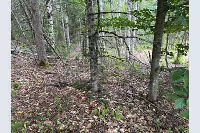 Map14Lot19 Macallister Cove Road, Orient, ME 04471 - Photo 8