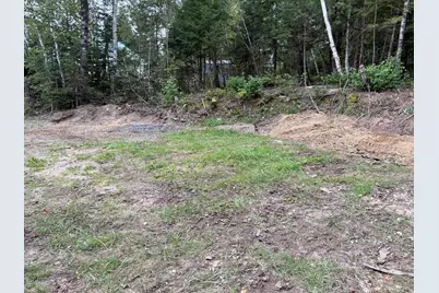 Map14Lot19 Macallister Cove Road, Orient, ME 04471 - Photo 4