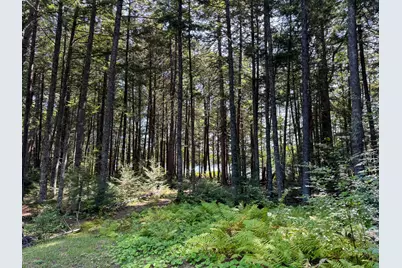 708 Red Pine Road, Lakeville, ME 04487 - Photo 16