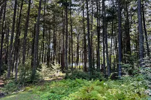 708 Red Pine Rd, Lakeville, ME 04487 - Photo 16