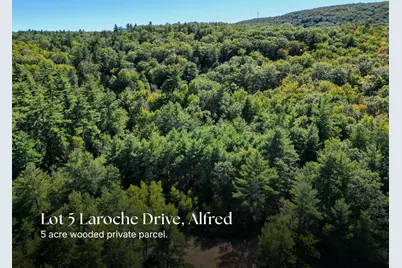 Lot 5 Laroche Drive, Alfred, ME 04002 - Photo 10