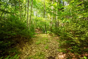 2030 Atlantic Hwy, Lincolnville, ME 04849 - Photo 30