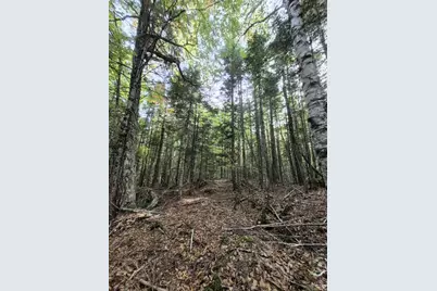 Lot 7 Morrison Brook Road, Oakfield, ME 04763 - Photo 20