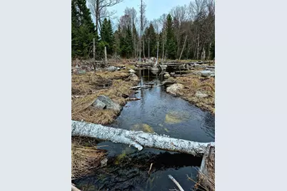 Lot 7 Morrison Brook Road, Oakfield, ME 04763 - Photo 22