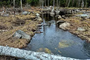 Lot 7 Morrison Brook Rd, Oakfield, ME 04763 - Photo 22