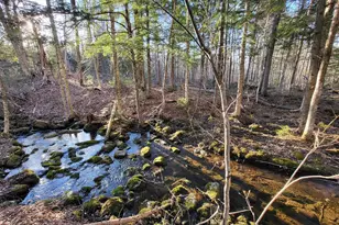 Lot 7 Morrison Brook Rd, Oakfield, ME 04763 - Photo 24