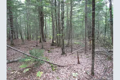 2B N Howland Road NW, Howland, ME 04448 - Photo 2