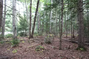 2B N Howland Road NW, Howland, ME 04448 - Photo 1