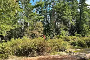 26 Dragon Back Rd, Naples, ME 04055 - Photo 6