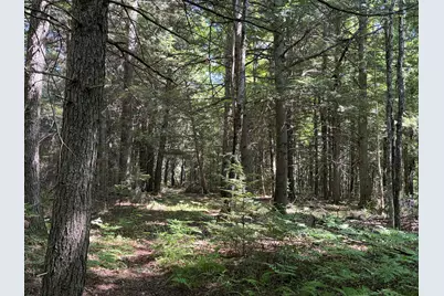 P/O M15L35 Covell Road, Fairfield, ME 04937 - Photo 34