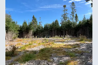 Lot #3 Pyne Cove Road, Steuben, ME 04680 - Photo 8