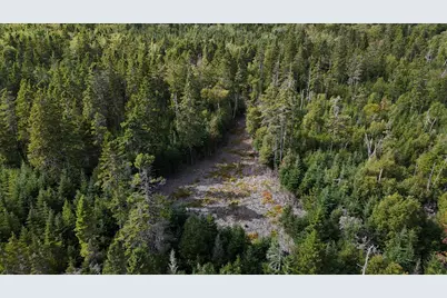 Lot #3 Pyne Cove Road, Steuben, ME 04680 - Photo 12
