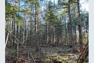M6L34 Rabbit Path Road, Corinth, ME 04427 - Photo 8