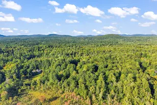 328 Spring Rd, Newfield, ME 04095 - Photo 58