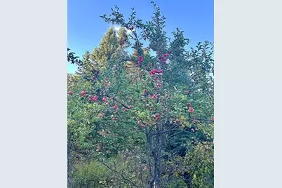 945 W Road, New Sweden, ME 04762 - Photo 22