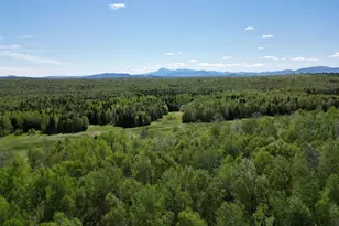 919 Shin Pond Rd, Mount Chase, ME 04765 - Photo 22
