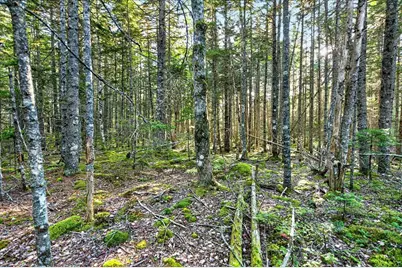 Tbd Pretty Marsh Road, Mount Desert, ME 04660 - Photo 6