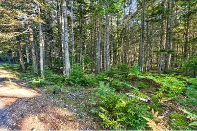 Tbd Pretty Marsh Road, Mount Desert, ME 04660 - Photo 4