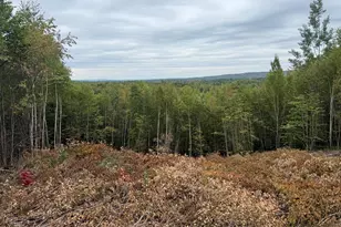 121 Hampshire Hl Rd, Mercer, ME 04957 - Photo 26