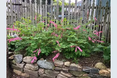 119 Ledgelawn Avenue, Bar Harbor, ME 04609 - Photo 14