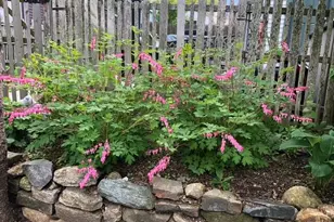 119 Ledgelawn Ave, Bar Harbor, ME 04609 - Photo 14