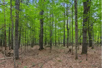 Tbd Edes Falls Road, Harrison, ME 04040 - Photo 4