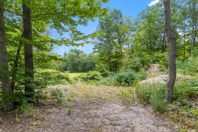 Lots 32/33 Spec Pond Road, Porter, ME 04068 - Photo 6
